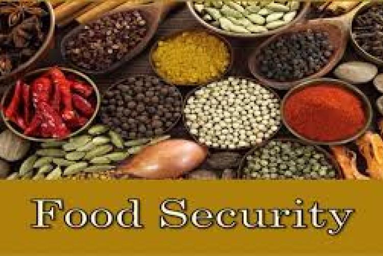 Food security